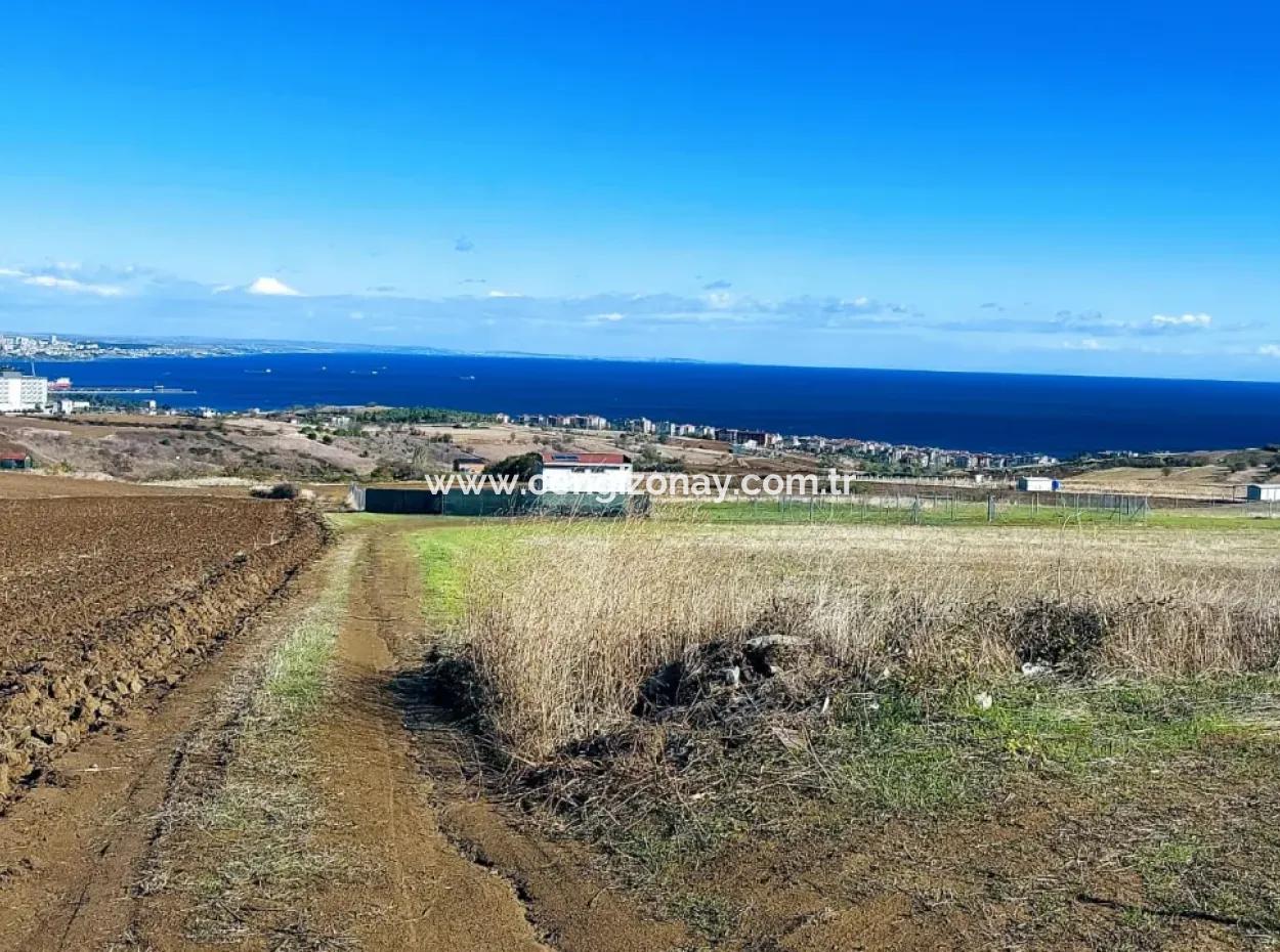 Acil Satılık Lüxs Villa Projesi Uygula Yüksek Kaznç Sağla Yerin Konumu Muhteşem Tamamen Full Deniz Ve Doğa Manzaralı