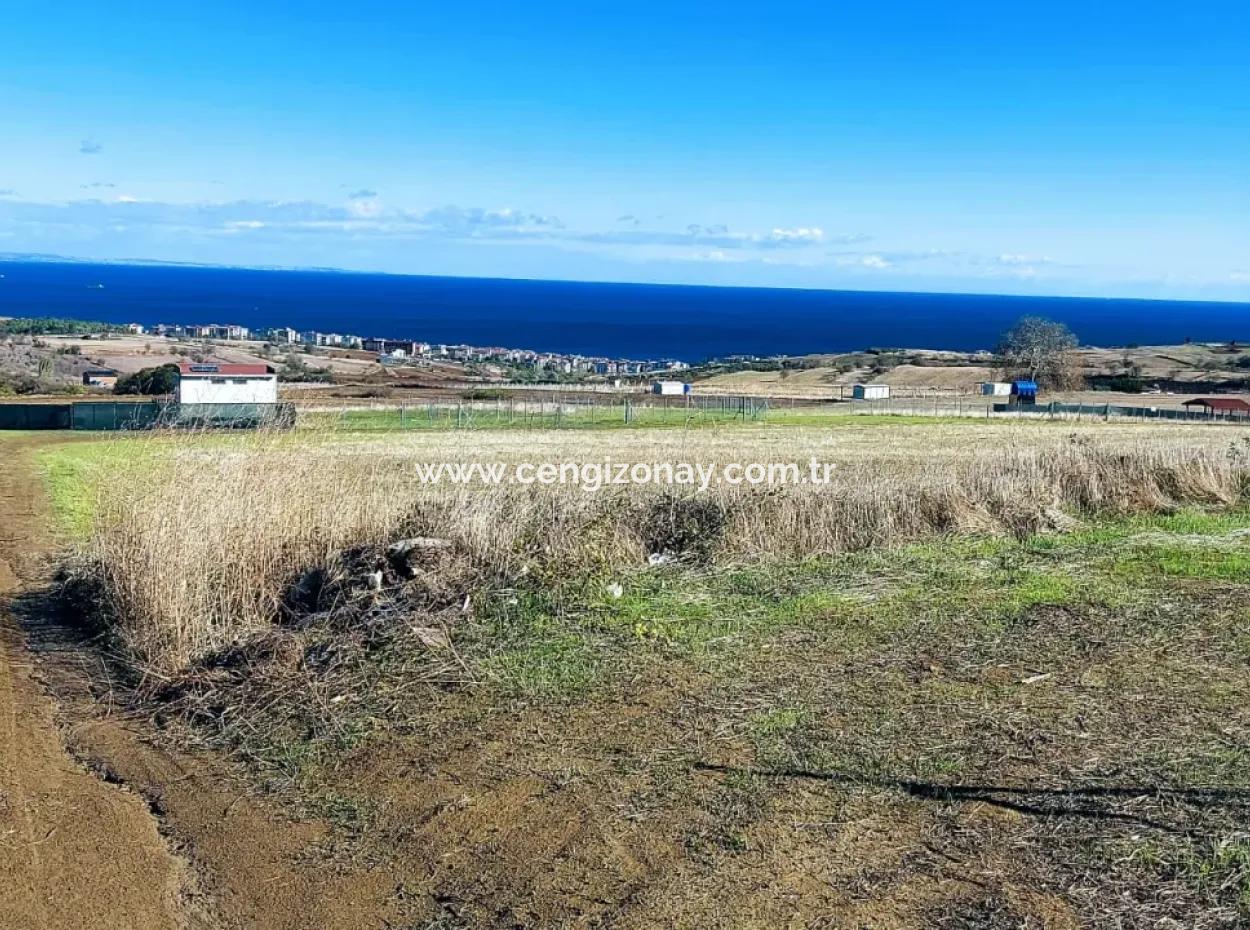 Acil Satılık Lüxs Villa Projesi Uygula Yüksek Kaznç Sağla Yerin Konumu Muhteşem Tamamen Full Deniz Ve Doğa Manzaralı