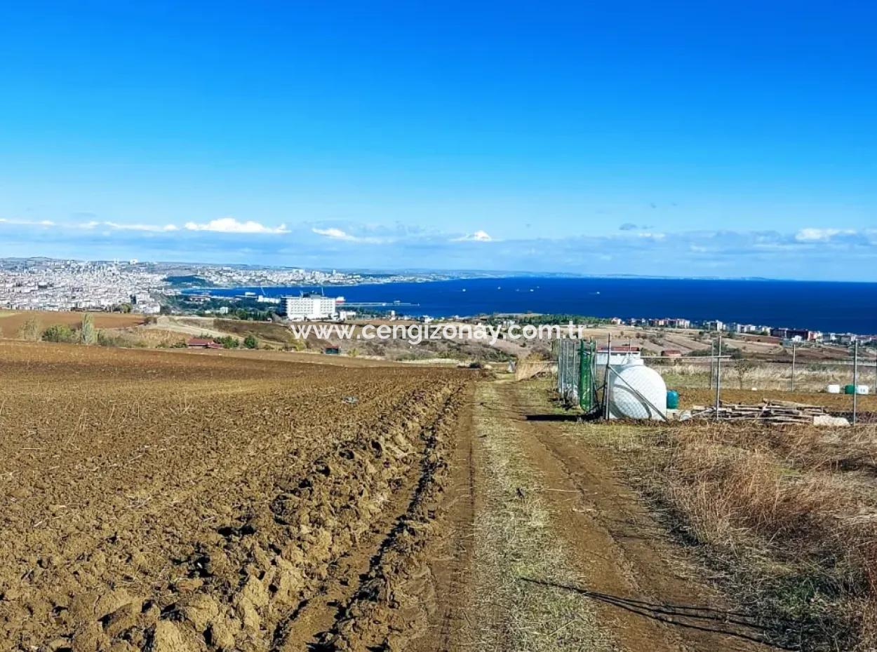 Acil Satılık Lüxs Villa Projesi Uygula Yüksek Kaznç Sağla Yerin Konumu Muhteşem Tamamen Full Deniz Ve Doğa Manzaralı
