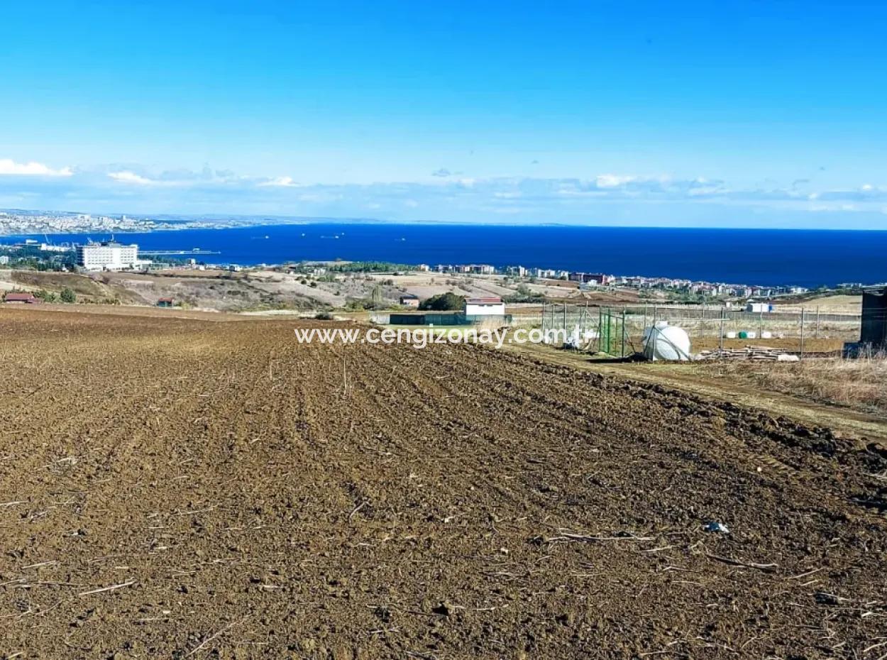 Acil Satılık Lüxs Villa Projesi Uygula Yüksek Kaznç Sağla Yerin Konumu Muhteşem Tamamen Full Deniz Ve Doğa Manzaralı