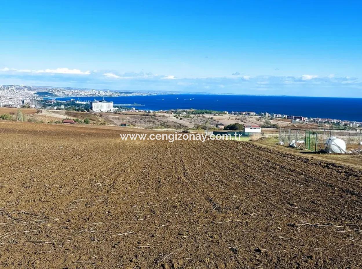 Acil Satılık Lüxs Villa Projesi Uygula Yüksek Kaznç Sağla Yerin Konumu Muhteşem Tamamen Full Deniz Ve Doğa Manzaralı