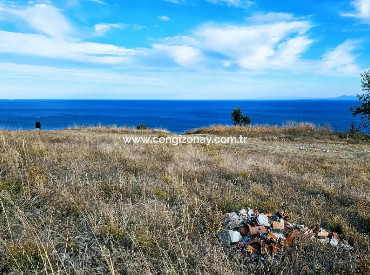 Tekirdağ Barbarosta Acil Satılık Full Deniz Manzaralı Kooparetif Site Yapımına Uygun 3.300 M2 Net Arsa