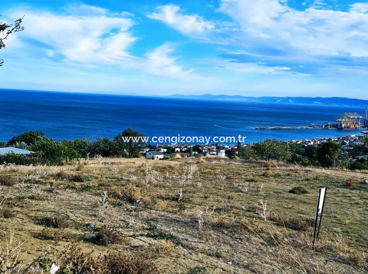 Tekirdağ Barbarosta Acil Satılık Full Deniz Manzaralı Kooparetif Site Yapımına Uygun 3.300 M2 Net Arsa