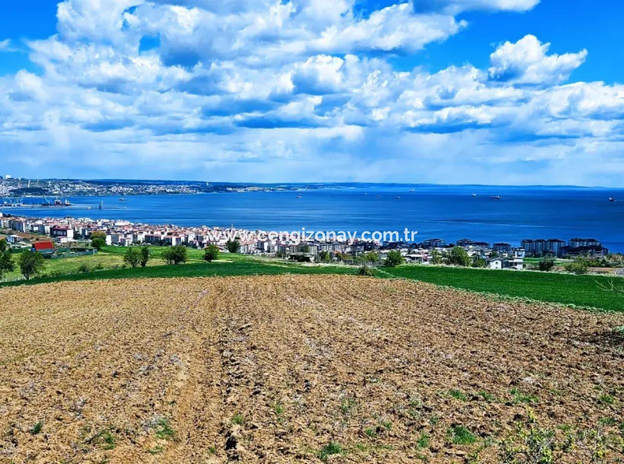 Acil Satılık Tekirdağ Barbarosta 40 Dairelik Full Deniz Manzaralı Konut İmarlı Arazi
