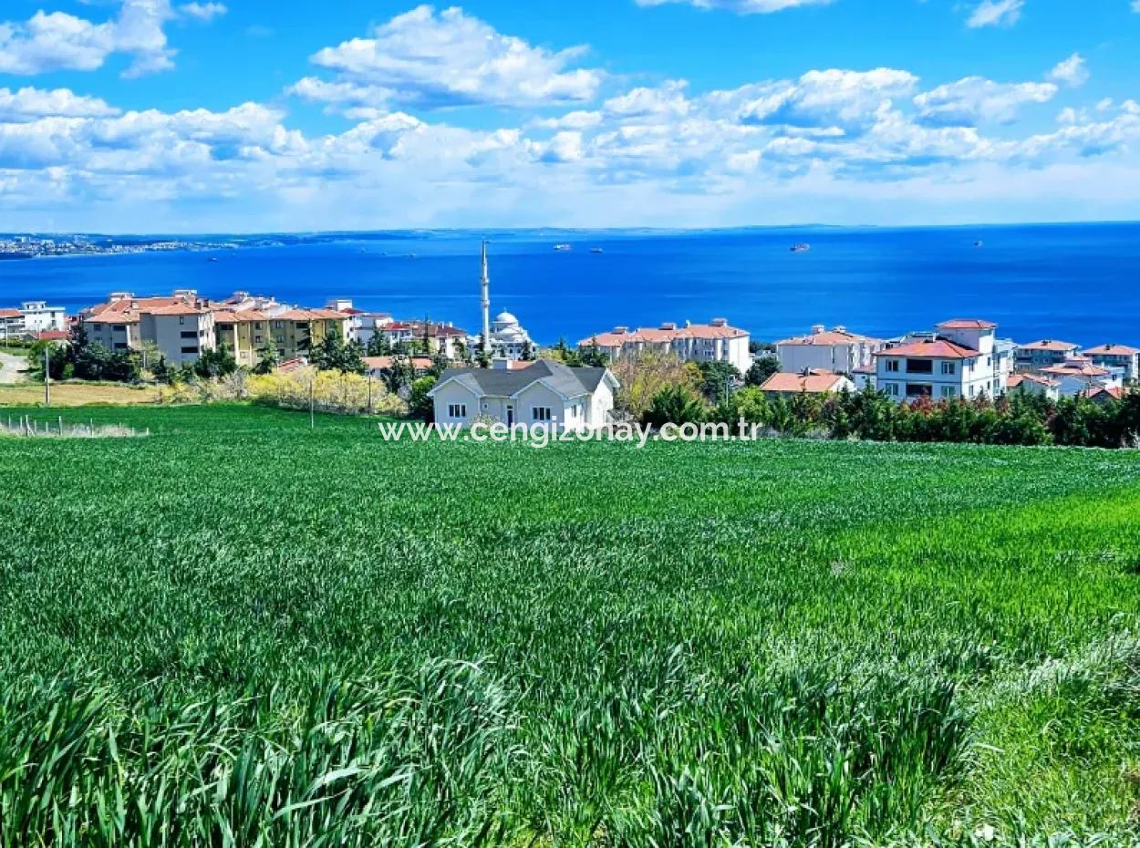 Harika Deniz Ve Doğa Manzaralı İster Kooparetif. İster Lüxs Villa Yap. 40 Dairelik 6.400 Konut İmarlı Arazi