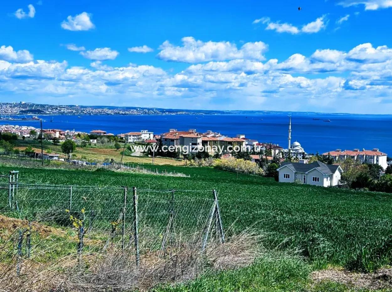 Harika Deniz Ve Doğa Manzaralı İster Kooparetif. İster Lüxs Villa Yap. 40 Dairelik 6.400 Konut İmarlı Arazi