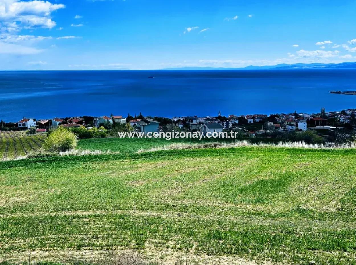 Tekirdağ Barbarosta Acil Satılık 45 Dairelik Kooparetif Site Yapımına Uygun Full Deniz Manzaralı Konut İmarlı Arazi