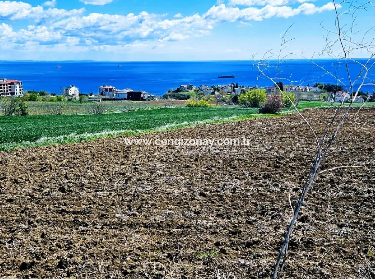 Tekirdağ Barbarosta Acil Satılık Lüxs Proje Uygula Full Deniz Ve Doğa Manzarasıyla Harika Koopretif Site Yap. Yüksek Kazanç Garantisi