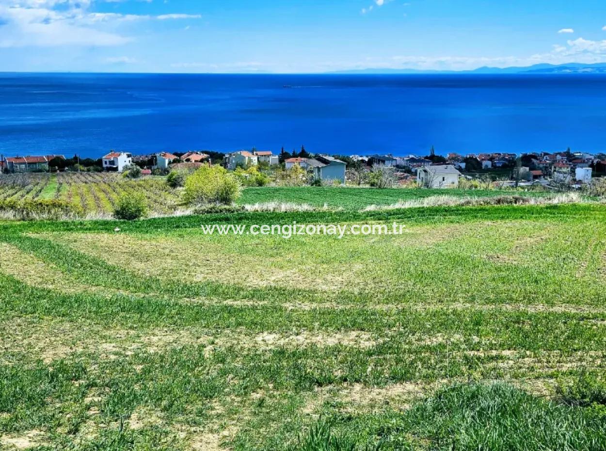 Full Deniz Ve Doğa Manzara Alt Yapı Hazır Lüxs 45 Dairelik Kooparetif Ve Site Yapmaya Uygun Kupon Arazi