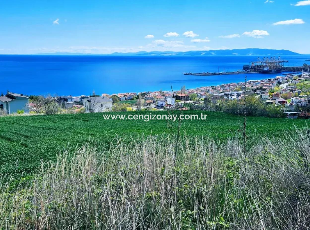 Full Deniz Ve Doğa Manzara Alt Yapı Hazır Lüxs 45 Dairelik Kooparetif Ve Site Yapmaya Uygun Kupon Arazi