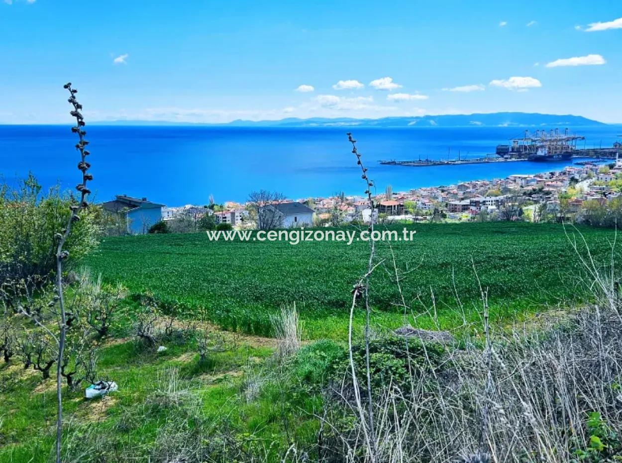 Full Deniz Ve Doğa Manzara Alt Yapı Hazır Lüxs 45 Dairelik Kooparetif Ve Site Yapmaya Uygun Kupon Arazi