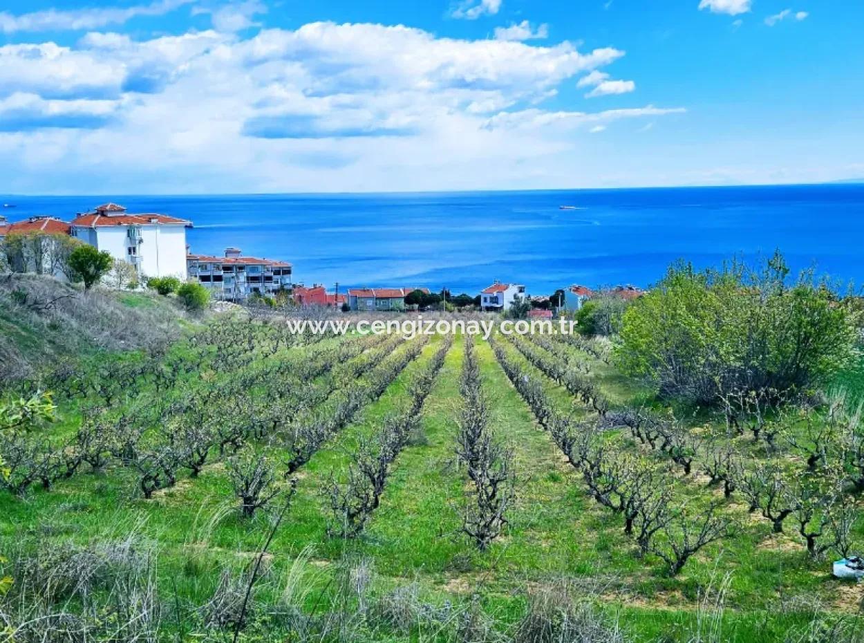 Full Deniz Ve Doğa Manzara Alt Yapı Hazır Lüxs 45 Dairelik Kooparetif Ve Site Yapmaya Uygun Kupon Arazi