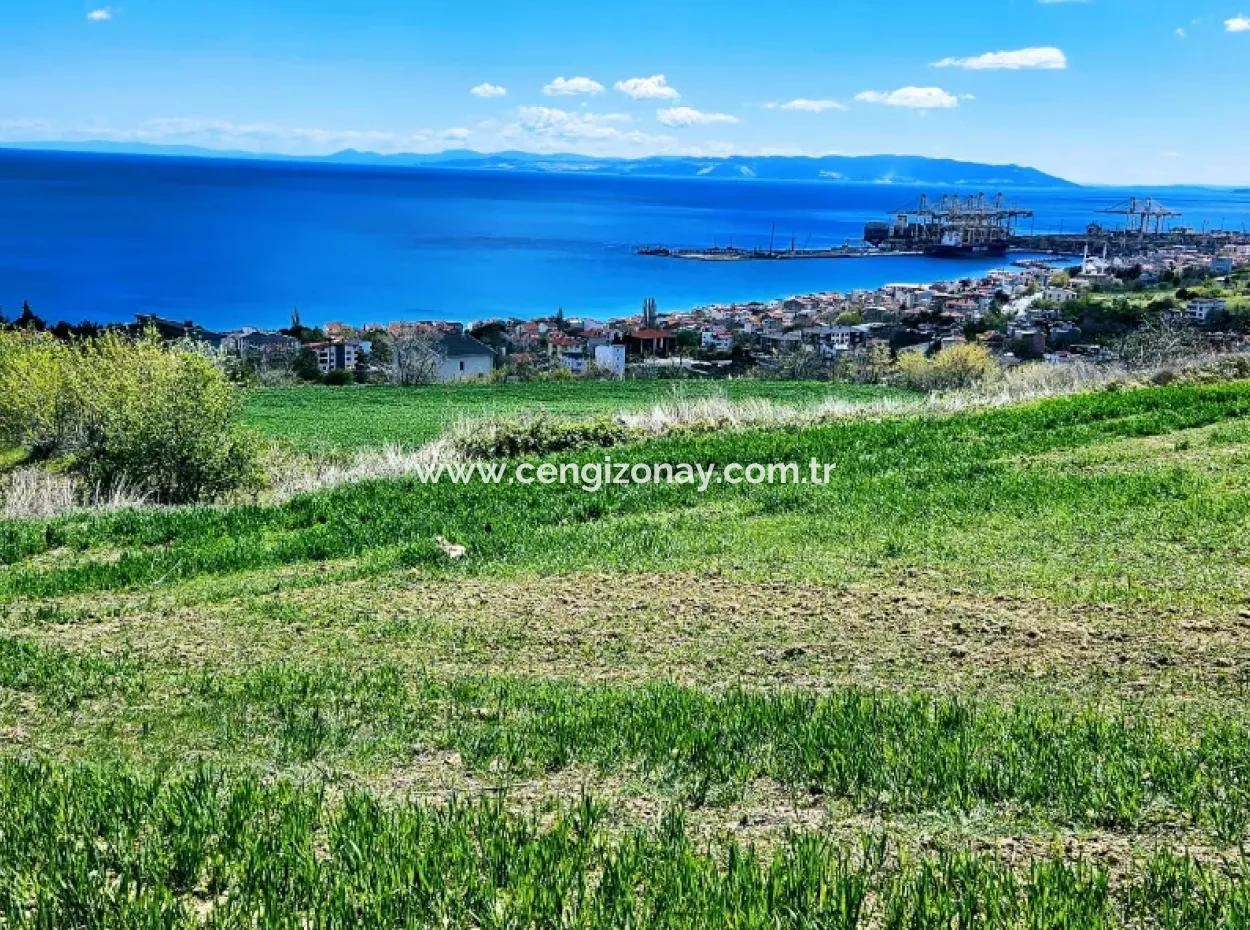 Full Deniz Ve Doğa Manzara Alt Yapı Hazır Lüxs 45 Dairelik Kooparetif Ve Site Yapmaya Uygun Kupon Arazi