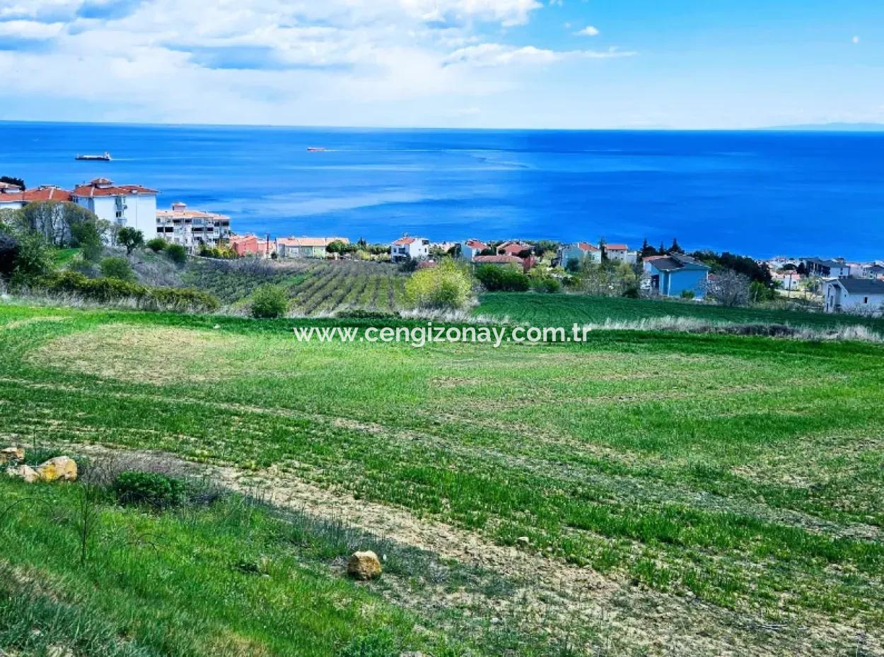 Full Deniz Ve Doğa Manzara Alt Yapı Hazır Lüxs 45 Dairelik Kooparetif Ve Site Yapmaya Uygun Kupon Arazi