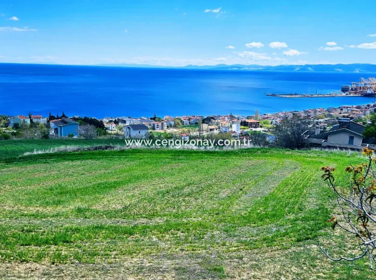 Full Deniz Ve Doğa Manzara Alt Yapı Hazır Lüxs 45 Dairelik Kooparetif Ve Site Yapmaya Uygun Kupon Arazi