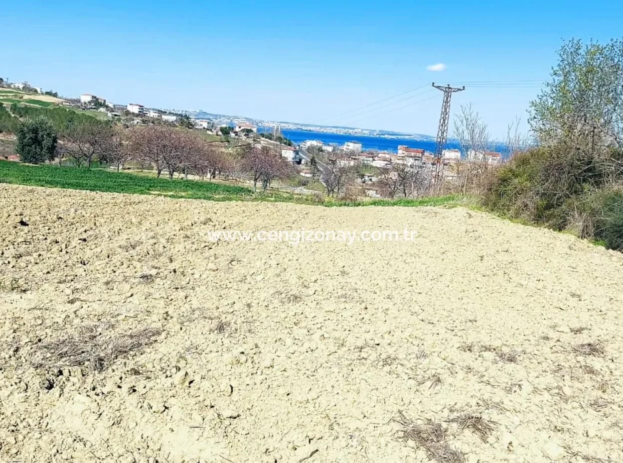 Yatırım Fırsatı: Tekirdağ Barbaros Satılık 615 M2 Köşe Arsa - Acil Satılık, Deniz Ve Doğa Manzaralı, %30 İmarlı