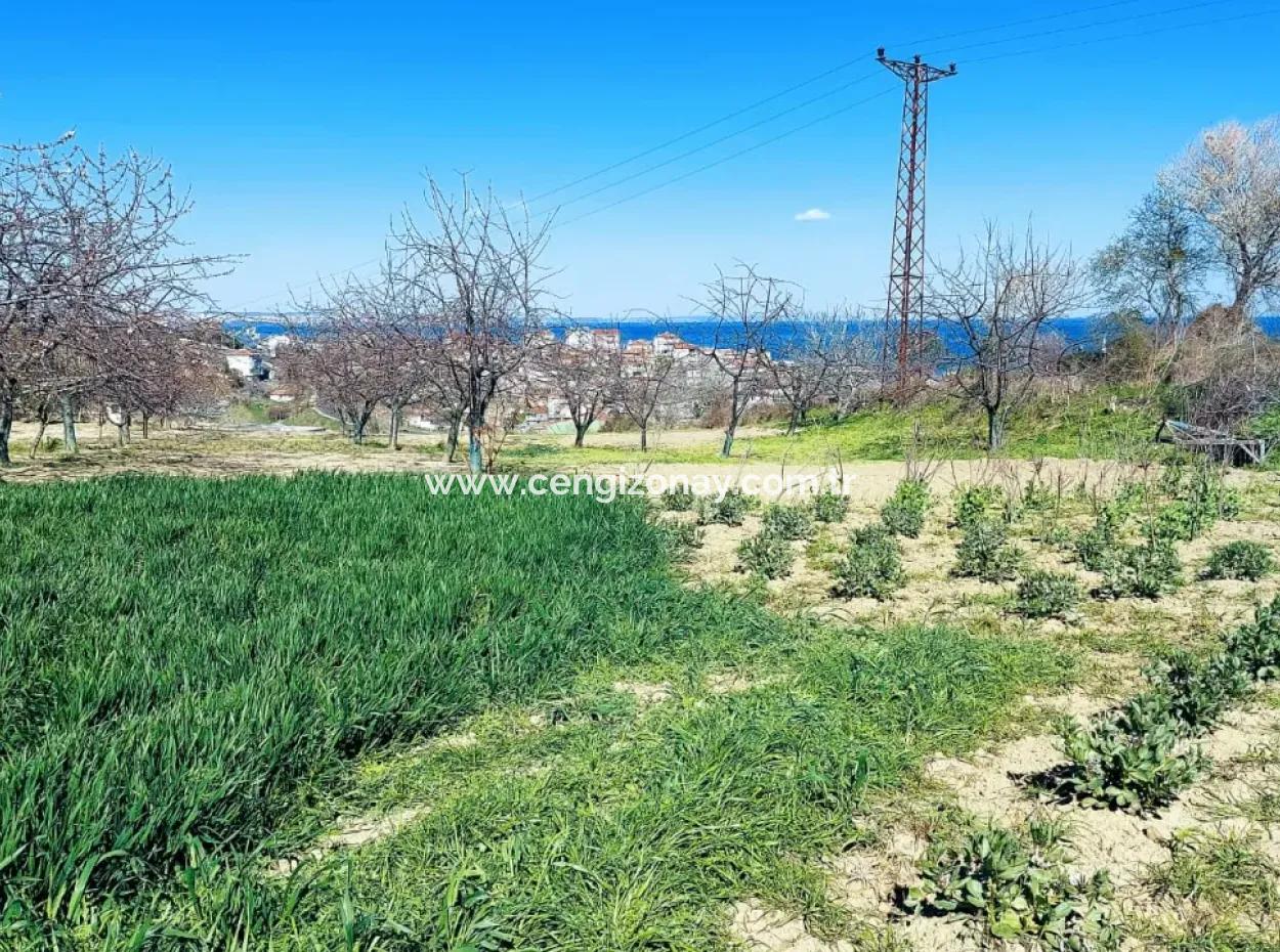 Yatırım Fırsatı: Tekirdağ Barbaros Satılık 615 M2 Köşe Arsa - Acil Satılık, Deniz Ve Doğa Manzaralı, %30 İmarlı
