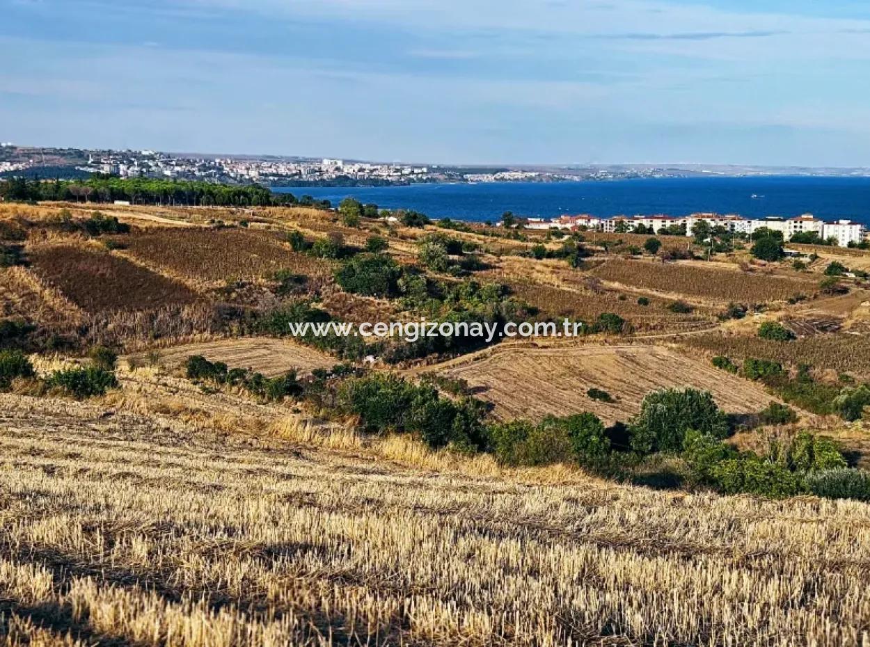 Tekirdağ Süleymanpaşa Barbaros - Topağaç'ta Ramada Hotel'e Yakın 1.150 Metrekarelik Arsa