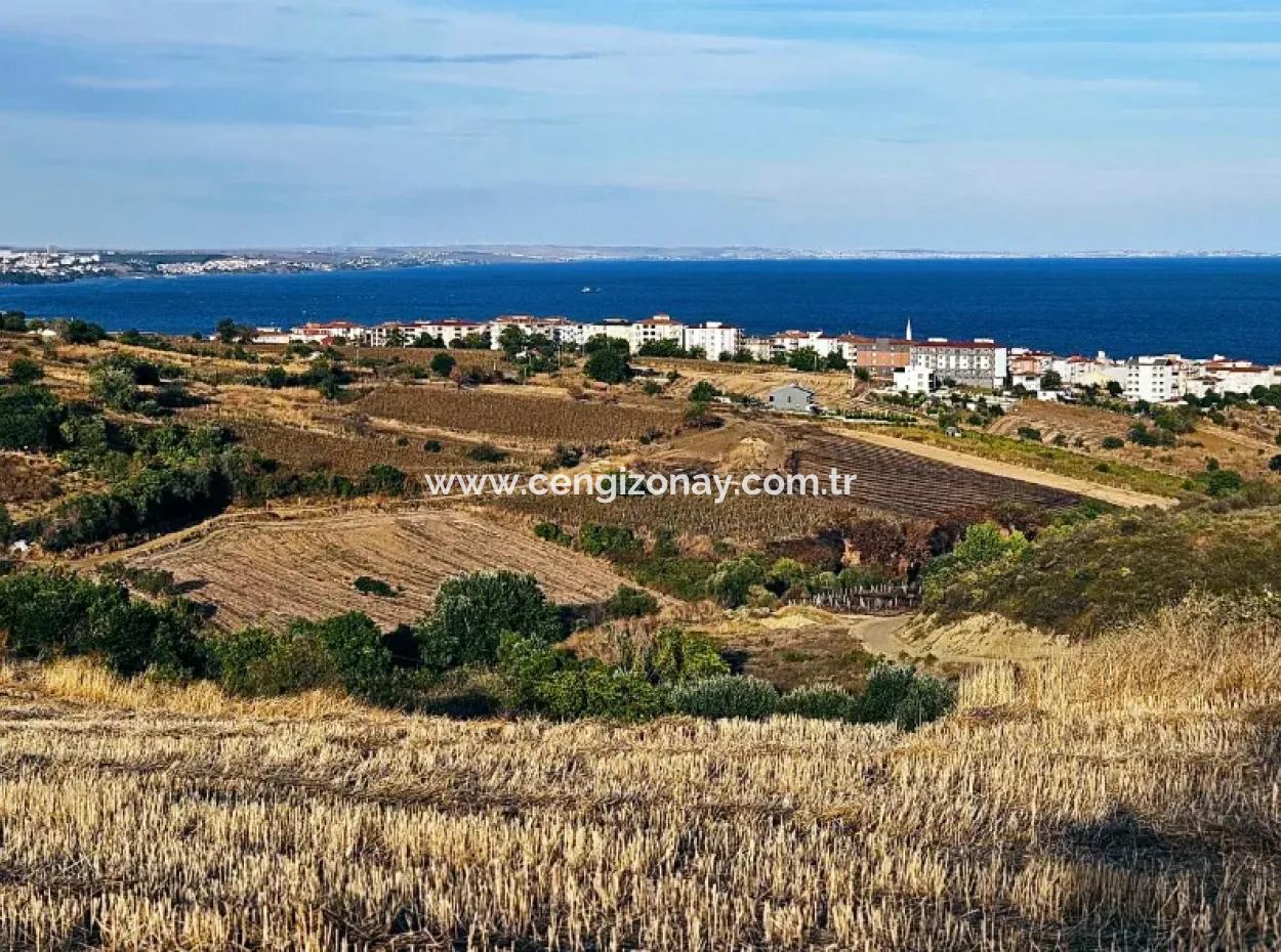 Tekirdağ Süleymanpaşa Barbaros - Topağaç'ta Ramada Hotel'e Yakın 1.150 Metrekarelik Arsa