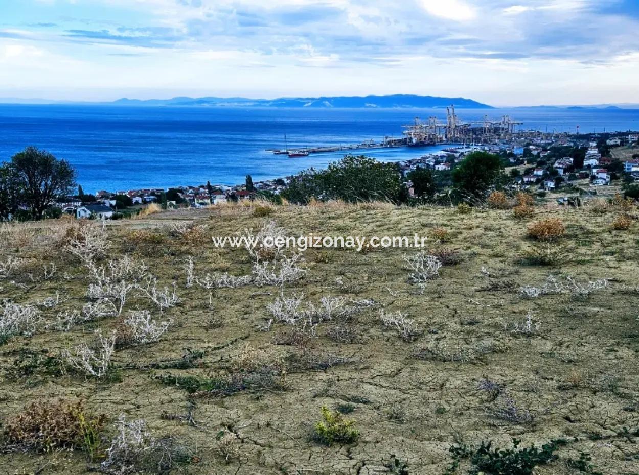 Tekirdağ Barbarosta Harika Deniz Manzaralı Müstakil Evinizi Yapmaya Uygun Acil Satılık Kupon Arsa