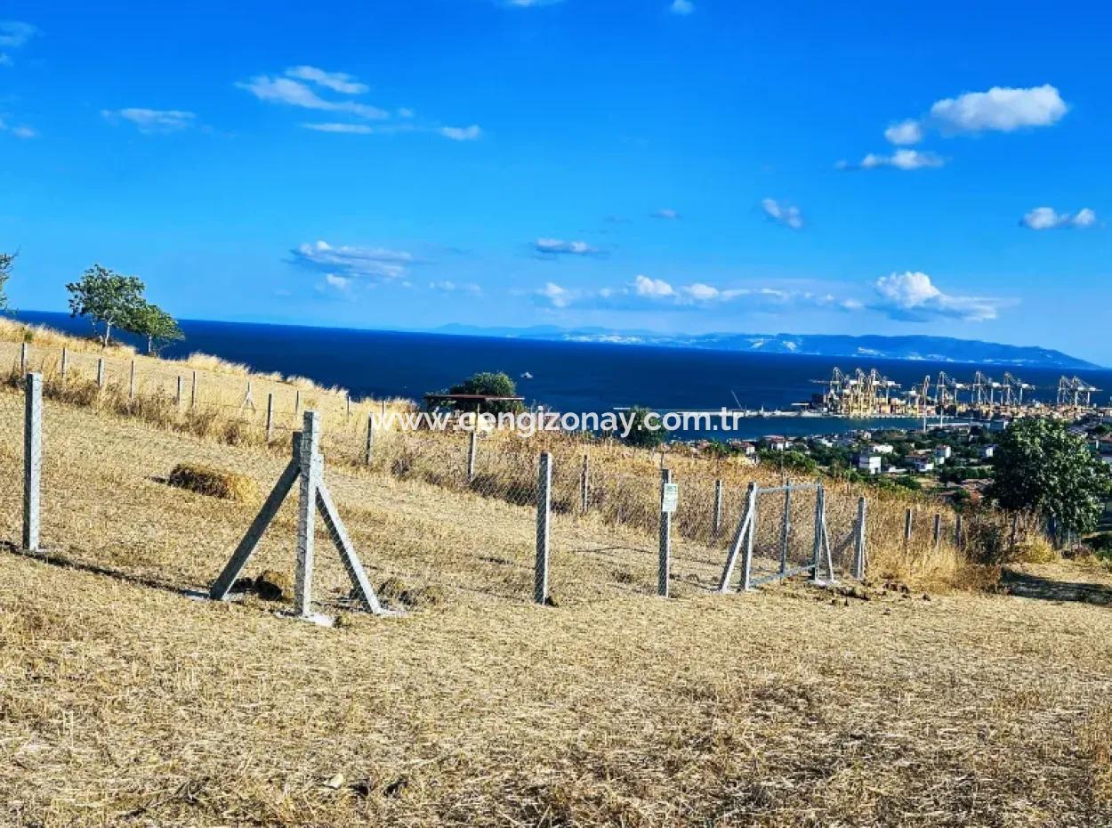 Acil Satılık Full Deniz Manzaralı Takas + Nakit 765 M2 Fırsat Kupon Arsa