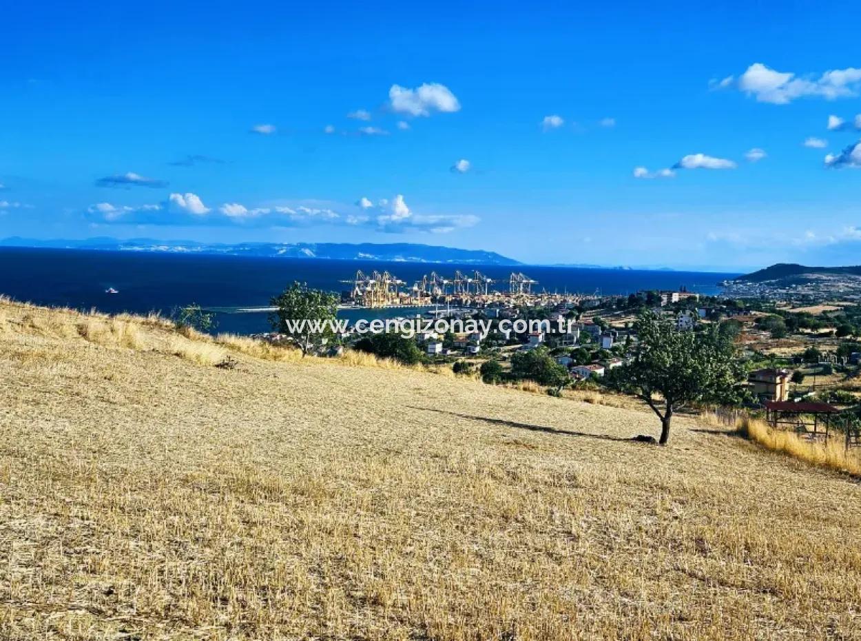 Acil Satılık Full Deniz Manzaralı Takas + Nakit 765 M2 Fırsat Kupon Arsa