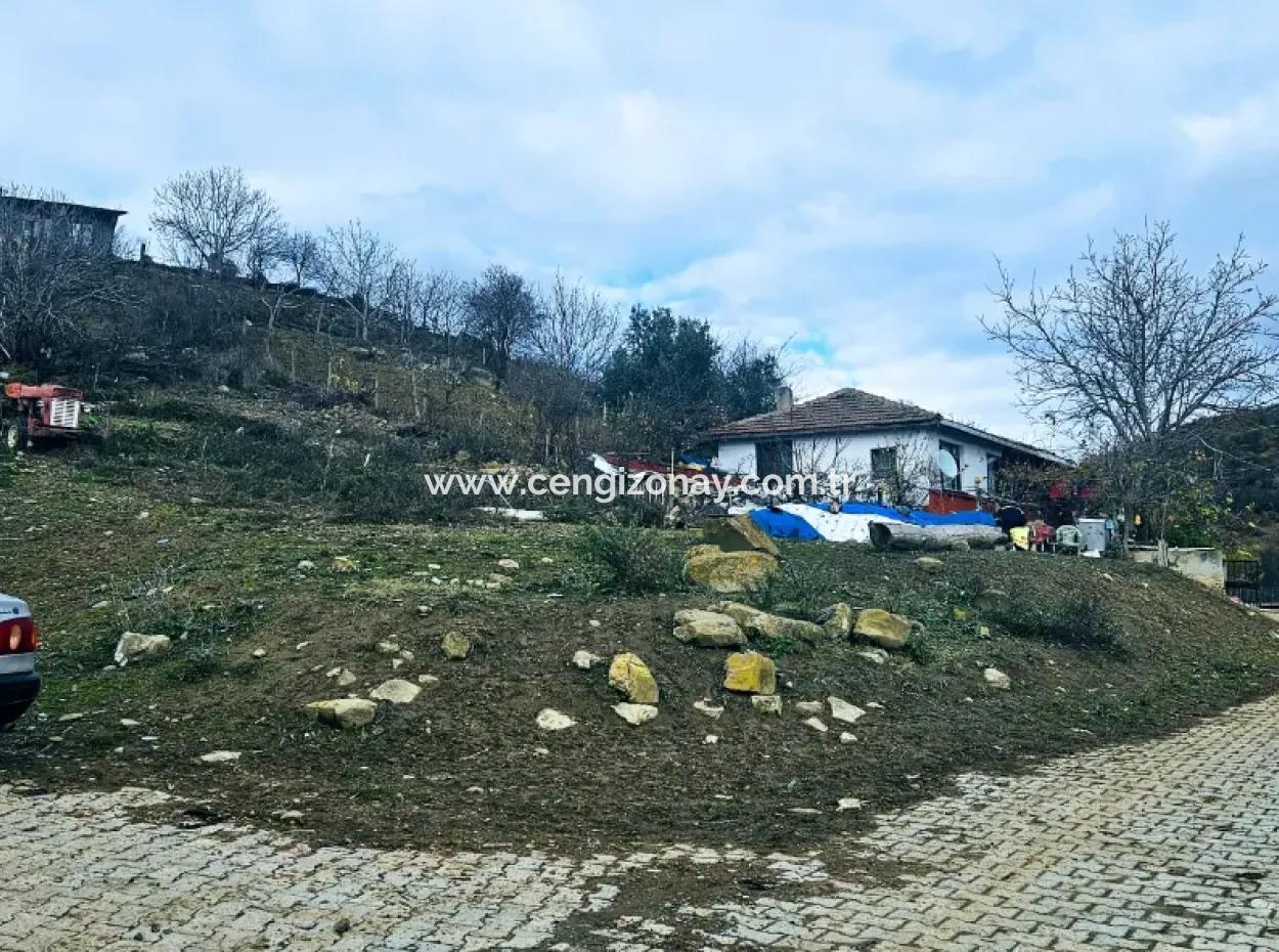 Acil Satılık Köyevi Yapmak İsteyen Meraklısına Fırsat Köşe Arsa