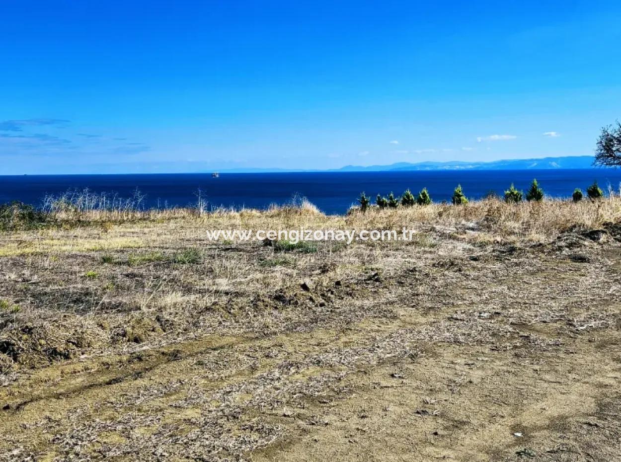Tekirdağ Barbarosta Harika Konumda Denize Yakın Hayelinizseki Müstakil Ev Yapmaya Uygun Fırsat Arsa