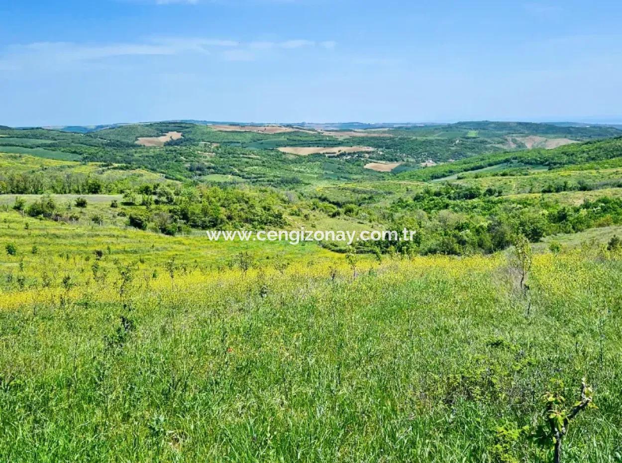 Acil Satılık Hayelinizdeki Çiftlği Kurmak İçin Harika Bir Fırsat 2.600 Dönüm Mera Cepheli