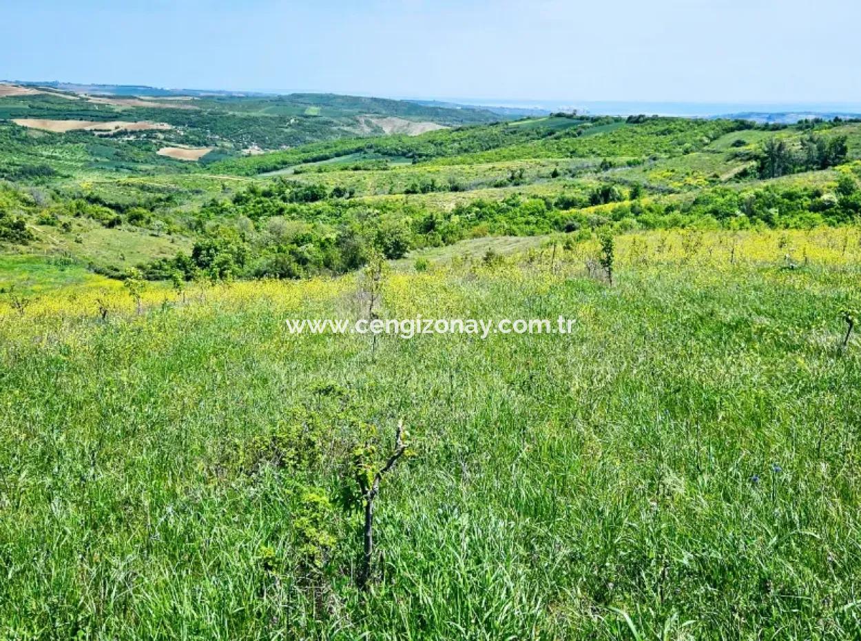 Acil Satılık Hayelinizdeki Çiftlği Kurmak İçin Harika Bir Fırsat 2.600 Dönüm Mera Cepheli