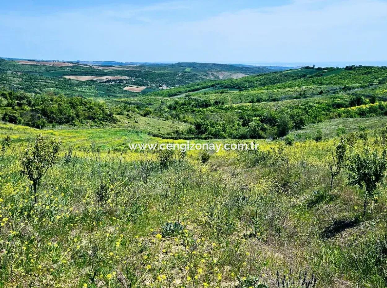 Acil Satılık Hayelinizdeki Çiftlği Kurmak İçin Harika Bir Fırsat 2.600 Dönüm Mera Cepheli