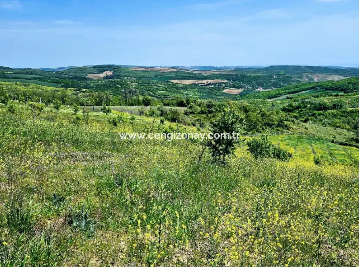 Acil Satılık Hayelinizdeki Çiftlği Kurmak İçin Harika Bir Fırsat 2.600 Dönüm Mera Cepheli