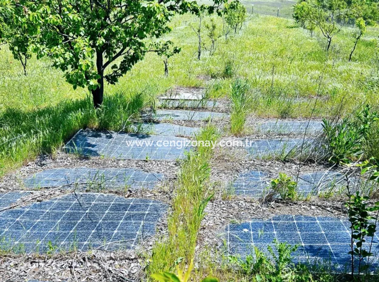 Acil Satılık Hayelinizdeki Çiftlği Kurmak İçin Harika Bir Fırsat 2.600 Dönüm Mera Cepheli