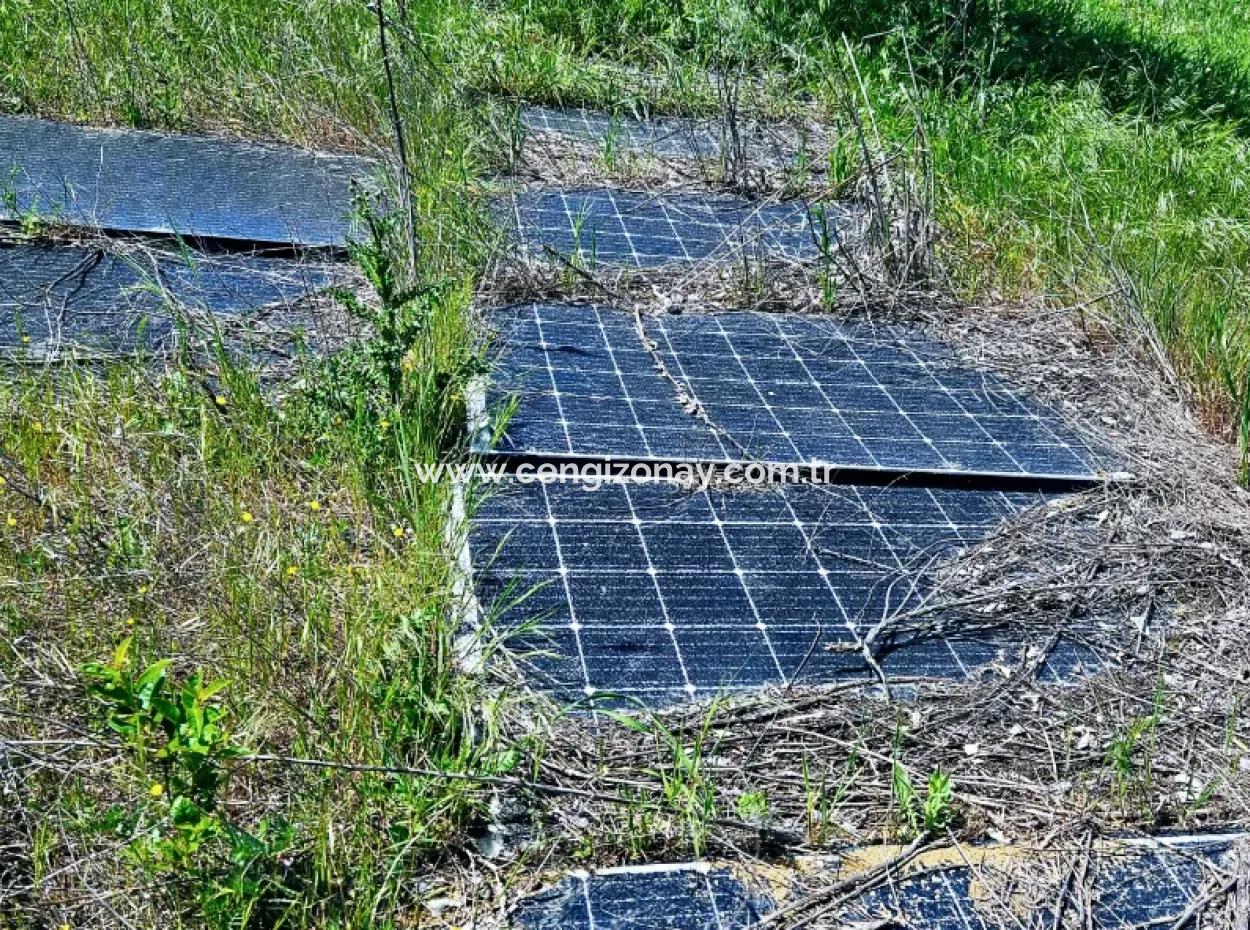 Acil Satılık Hayelinizdeki Çiftlği Kurmak İçin Harika Bir Fırsat 2.600 Dönüm Mera Cepheli