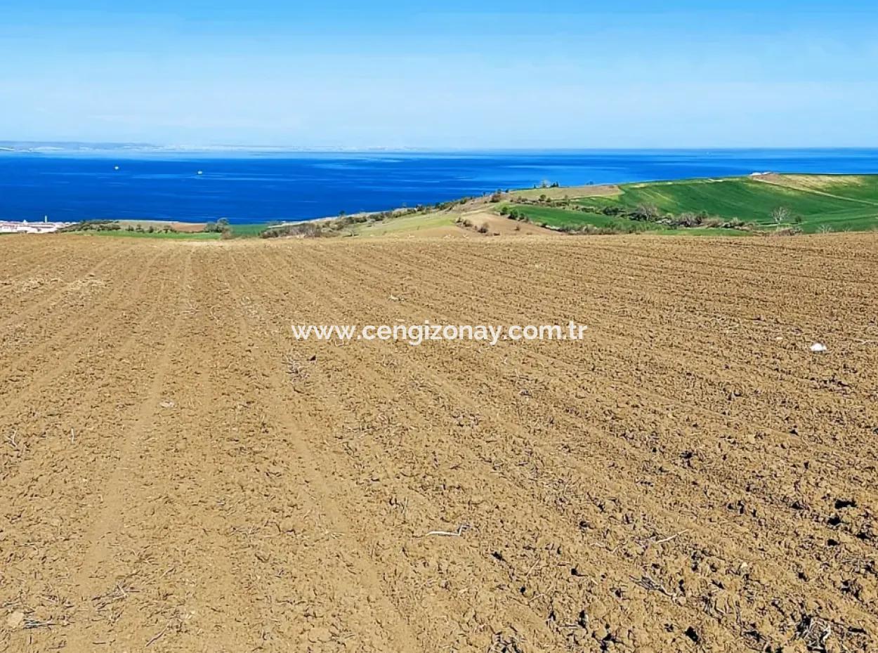 Tekirdağ Barbarosta Lüxs Villa Projeni Yap. Mütahitlere Kat Karşılığı Ver  Yüksek Kazanç Sağla Full Deniz Manzaralı Villa İmarlı Arazi