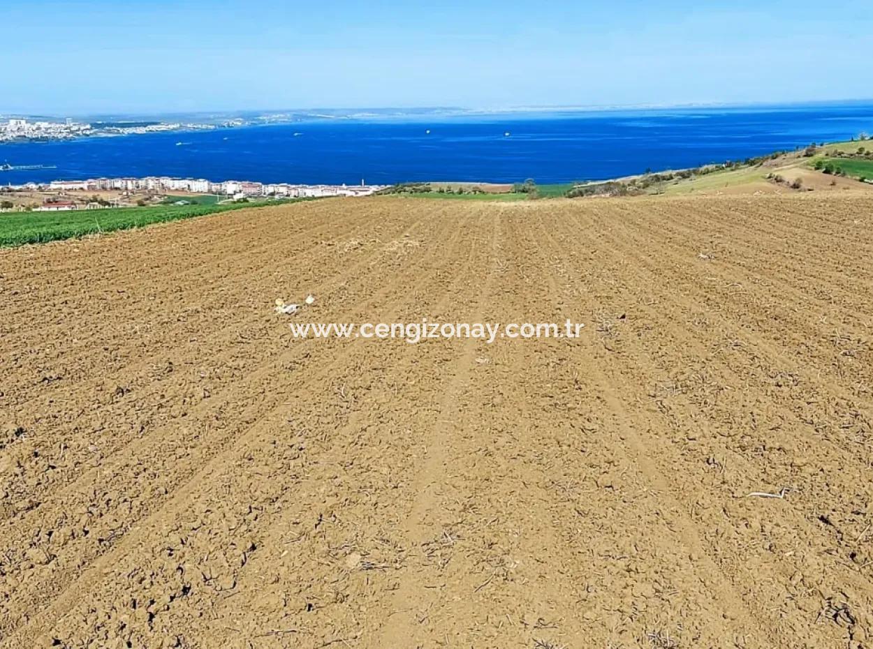 Tekirdağ Barbarosta Lüxs Villa Projeni Yap. Mütahitlere Kat Karşılığı Ver  Yüksek Kazanç Sağla Full Deniz Manzaralı Villa İmarlı Arazi