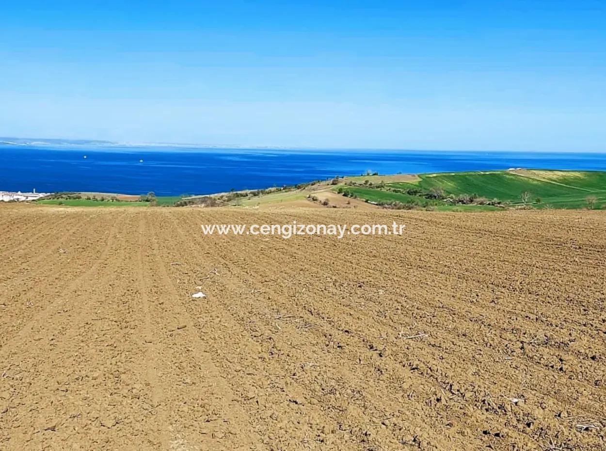 Tekirdağ Barbarosta Lüxs Villa Projeni Yap. Mütahitlere Kat Karşılığı Ver  Yüksek Kazanç Sağla Full Deniz Manzaralı Villa İmarlı Arazi