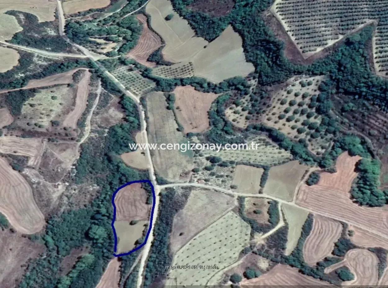 Tekirdağ Süleymanpaşa Yeniköy Mahallesi'nde Bulunan Bu 5.500 Metrekarelik Dere Kenarındaki Tarla