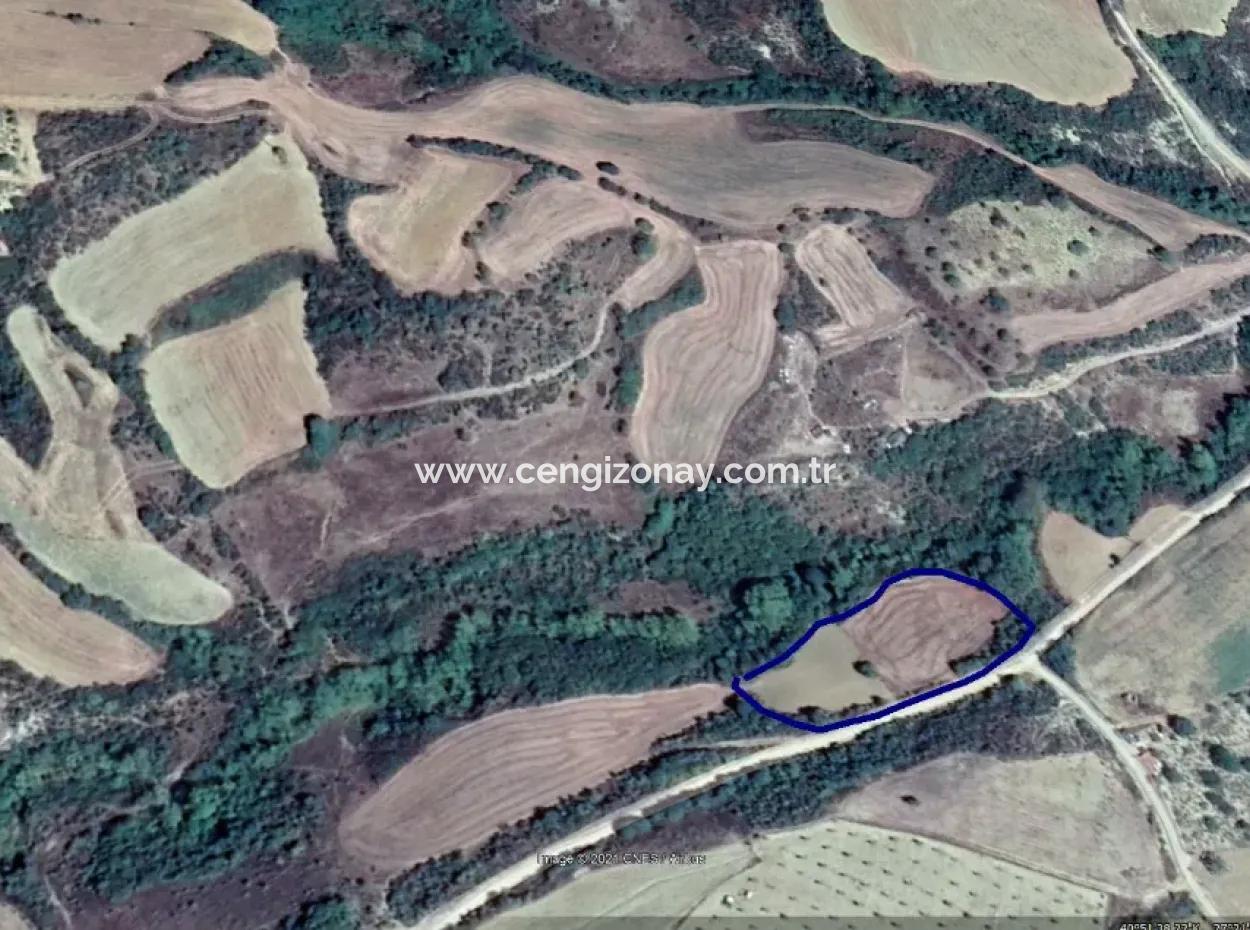 Tekirdağ Süleymanpaşa Yeniköy Mahallesi'nde Bulunan Bu 5.500 Metrekarelik Dere Kenarındaki Tarla