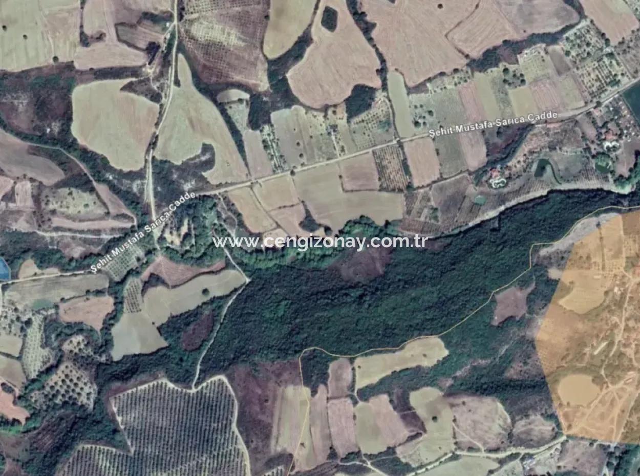 Tekirdağ Süleymanpaşa Yeniköy Mahallesi'nde Bulunan Bu 5.500 Metrekarelik Dere Kenarındaki Tarla