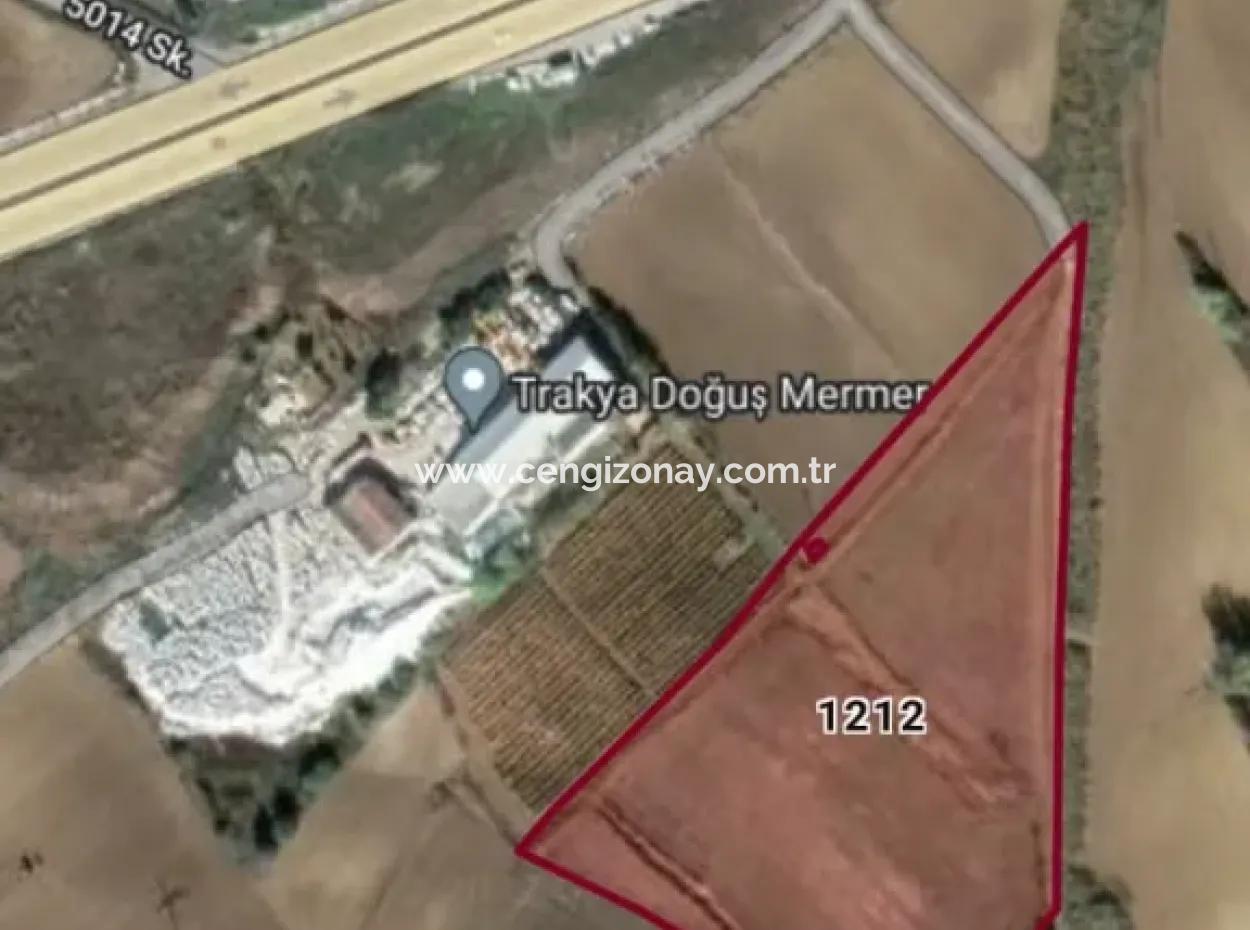 Tekirdağ'ın Nusuratlı Mevkisinde 19.500 Metrekarelik Ticari Ve Sanayi Alanında Satılık Tarla