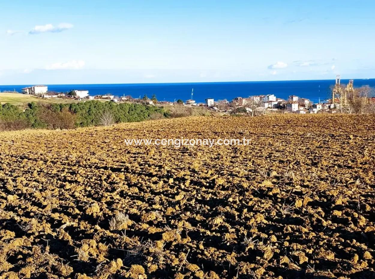 Tekirdağ'ın Süleymanpaşa Barbaros Mevkisinde Bulunan Eşsiz 17.800 M2 Konut İmarlı Arsa
