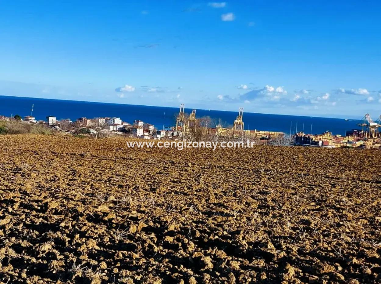 Tekirdağ'ın Süleymanpaşa Barbaros Mevkisinde Bulunan Eşsiz 17.800 M2 Konut İmarlı Arsa