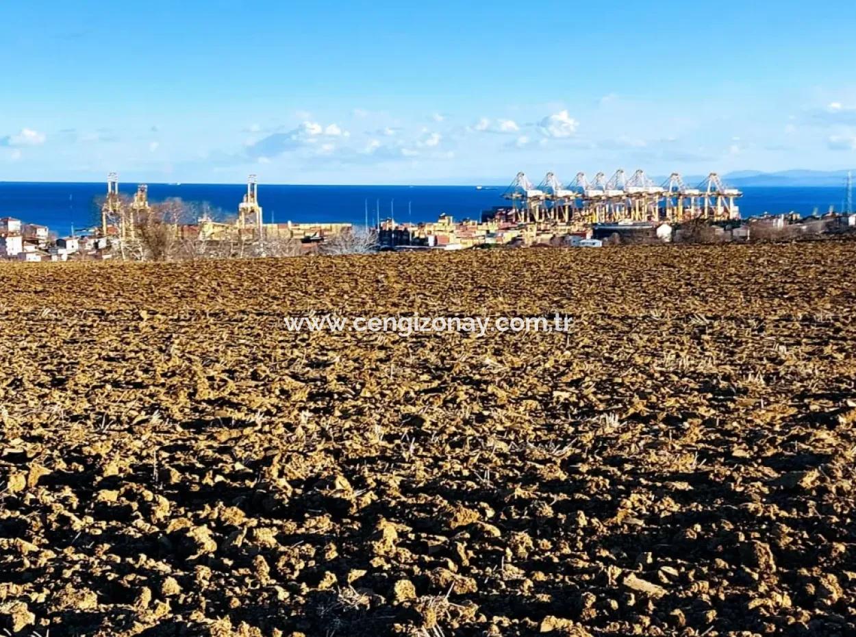 Tekirdağ'ın Süleymanpaşa Barbaros Mevkisinde Bulunan Eşsiz 17.800 M2 Konut İmarlı Arsa