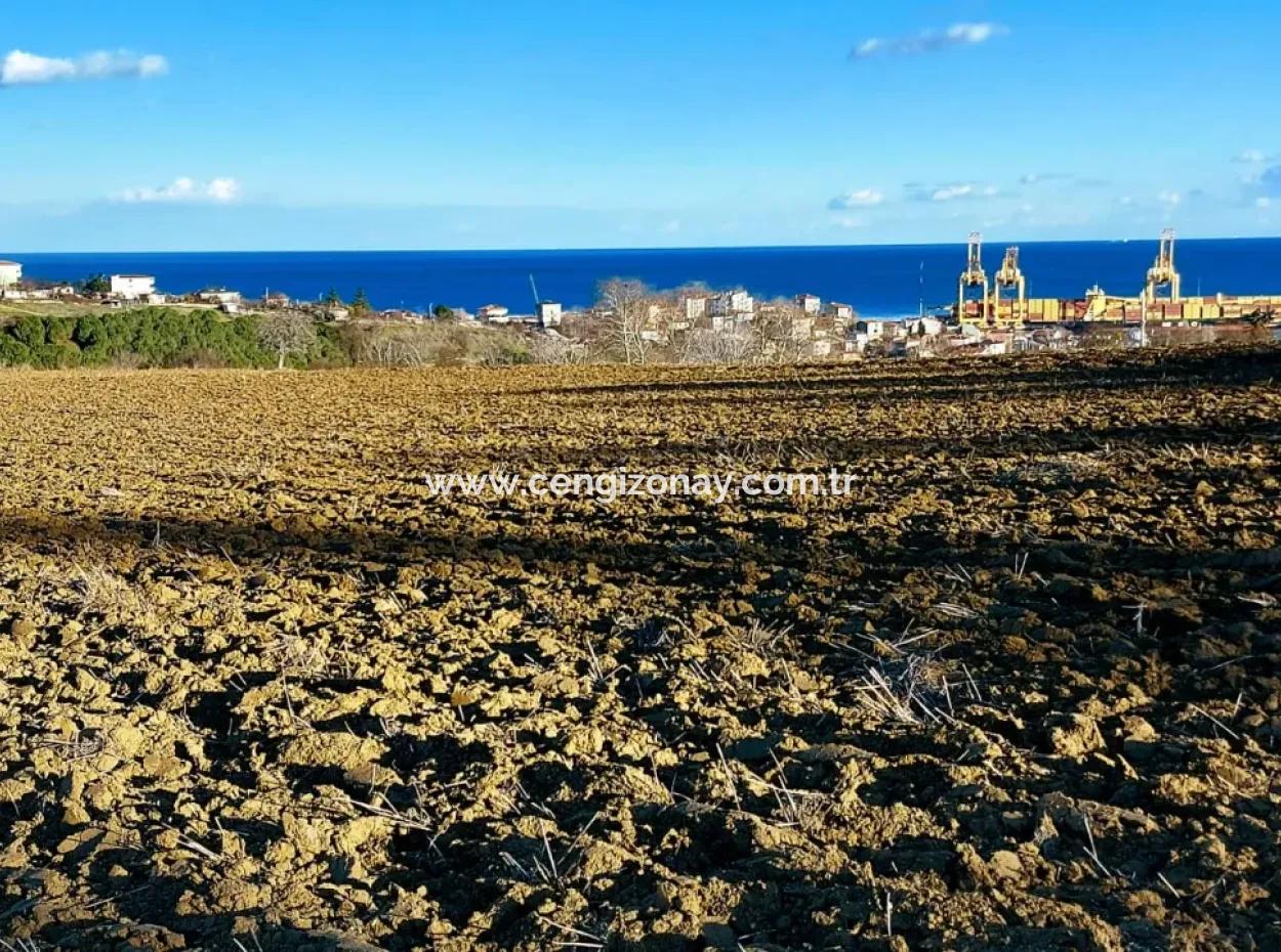 Tekirdağ'ın Süleymanpaşa Barbaros Mevkisinde Bulunan Eşsiz 17.800 M2 Konut İmarlı Arsa