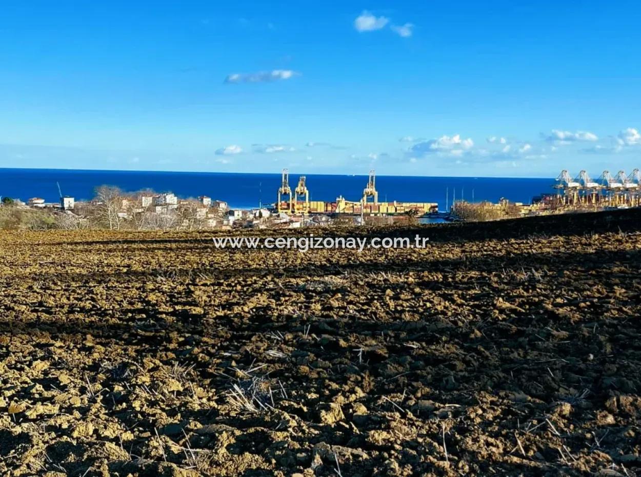 Tekirdağ'ın Süleymanpaşa Barbaros Mevkisinde Bulunan Eşsiz 17.800 M2 Konut İmarlı Arsa
