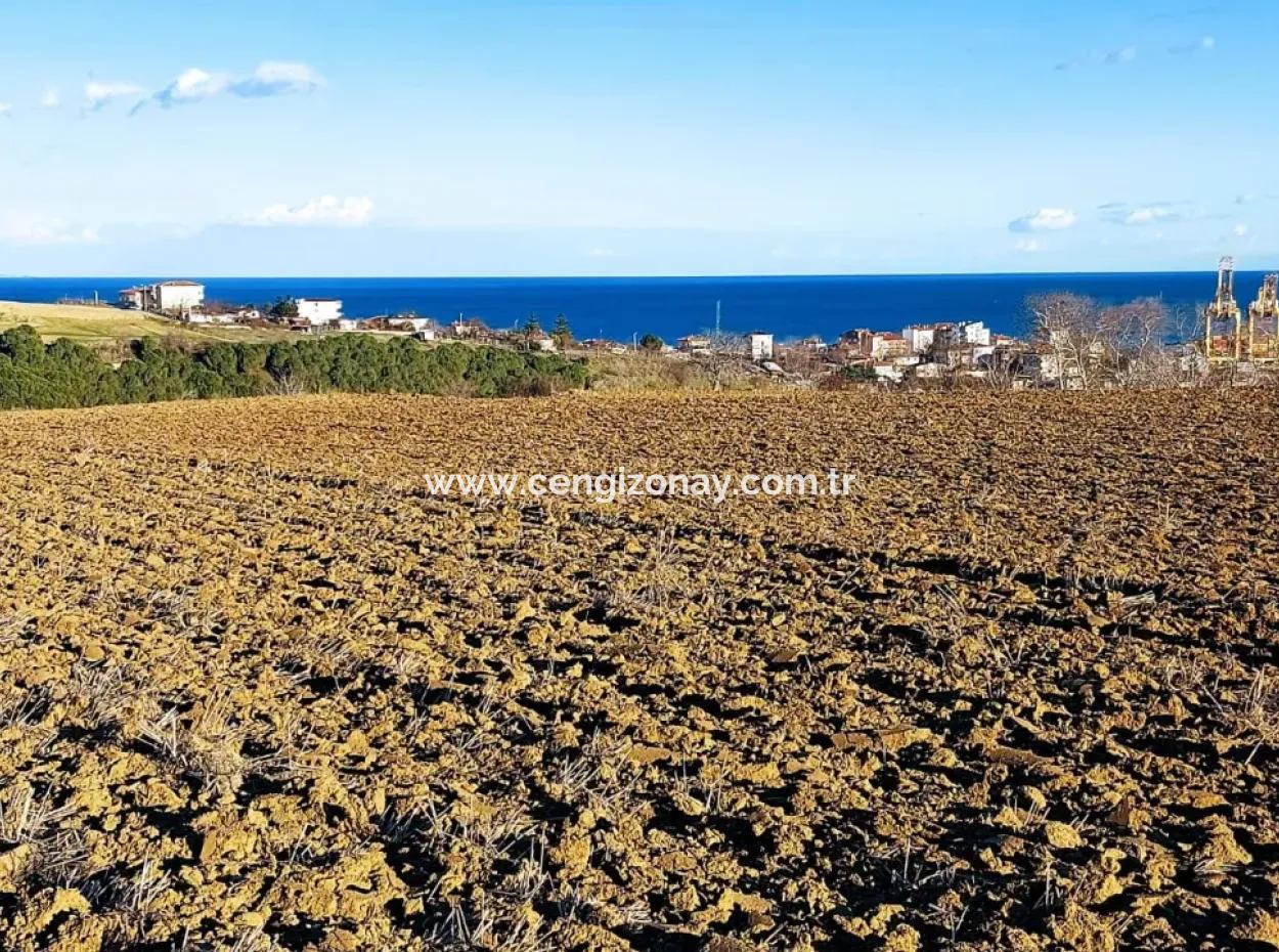 Tekirdağ'ın Süleymanpaşa Barbaros Mevkisinde Bulunan Eşsiz 17.800 M2 Konut İmarlı Arsa