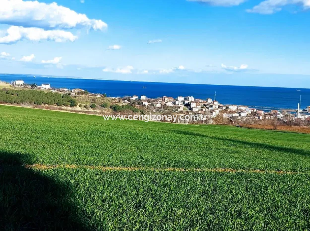 Tekirdağ Barbaros Asyaport Limanına Yakın 17 980 M2 Satılık Tarla