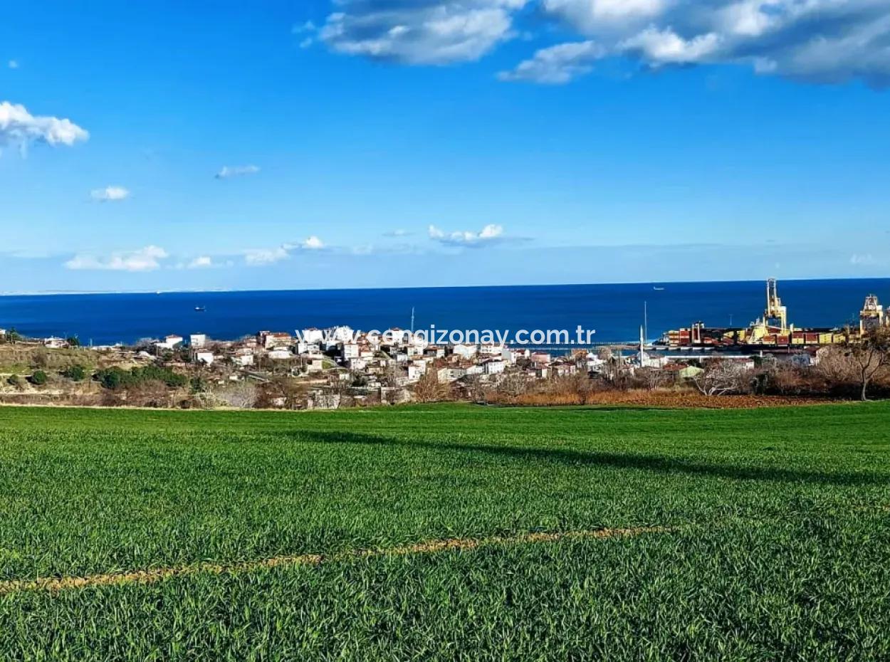 Tekirdağ Barbaros Asyaport Limanına Yakın 17 980 M2 Satılık Tarla