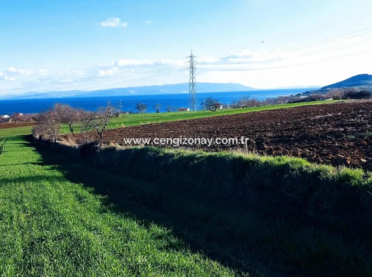 Tekirdağ Barbaros Asyaport Limanına Yakın 17 980 M2 Satılık Tarla